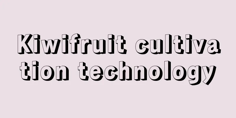 Kiwifruit cultivation technology