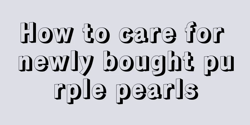 How to care for newly bought purple pearls