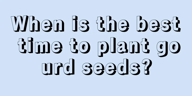 When is the best time to plant gourd seeds?