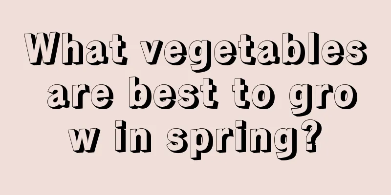 What vegetables are best to grow in spring?