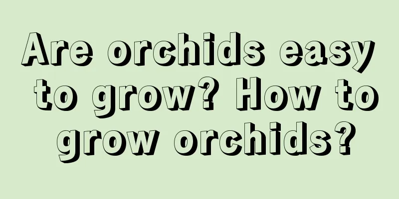 Are orchids easy to grow? How to grow orchids?