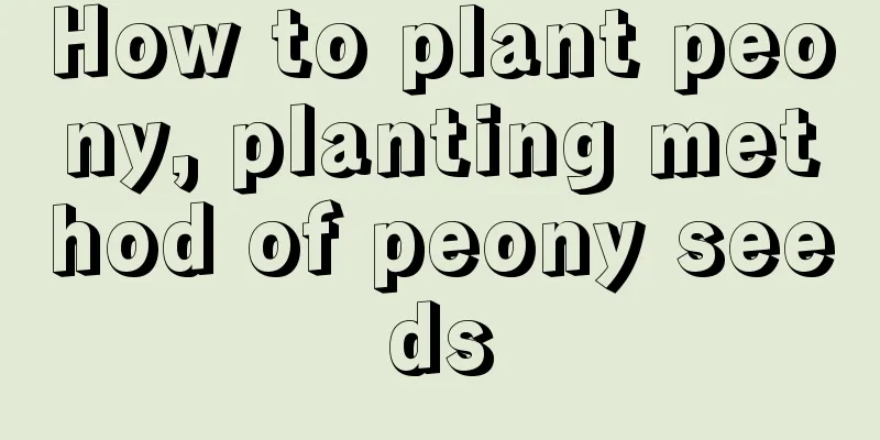 How to plant peony, planting method of peony seeds