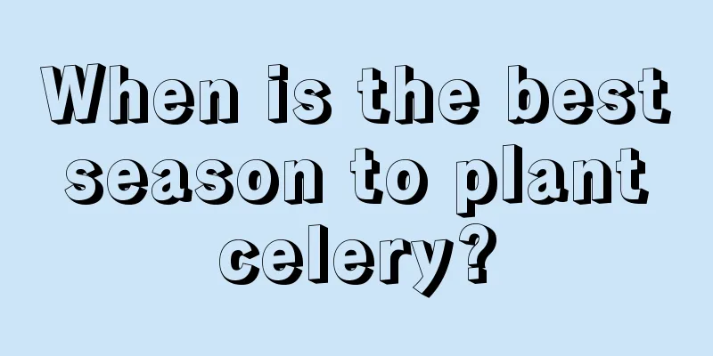 When is the best season to plant celery?