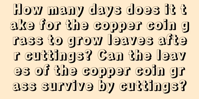 How many days does it take for the copper coin grass to grow leaves after cuttings? Can the leaves of the copper coin grass survive by cuttings?