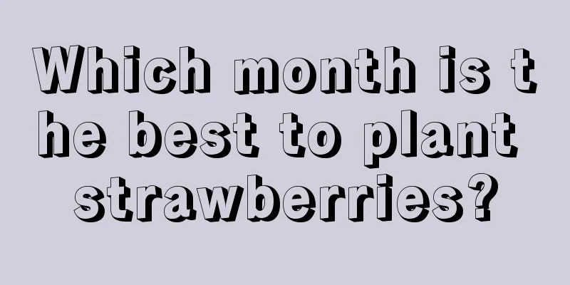 Which month is the best to plant strawberries?