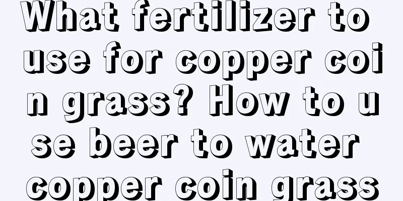 What fertilizer to use for copper coin grass? How to use beer to water copper coin grass