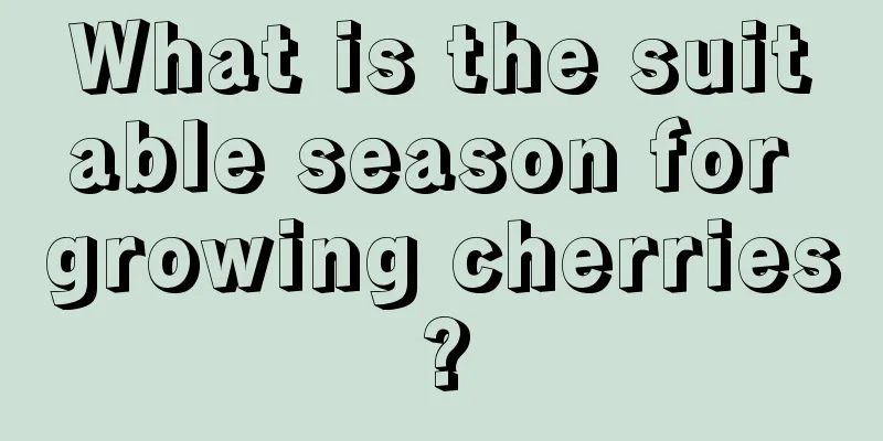 What is the suitable season for growing cherries?