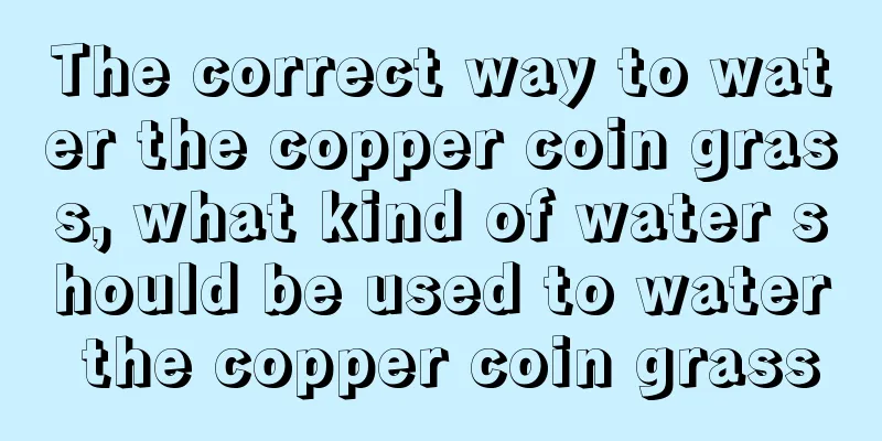 The correct way to water the copper coin grass, what kind of water should be used to water the copper coin grass