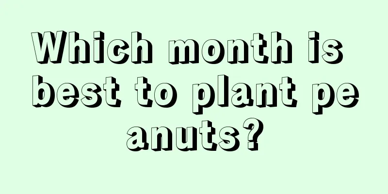 Which month is best to plant peanuts?