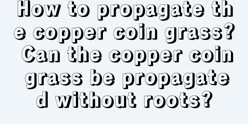 How to propagate the copper coin grass? Can the copper coin grass be propagated without roots?