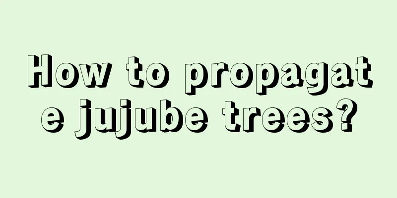 How to propagate jujube trees?