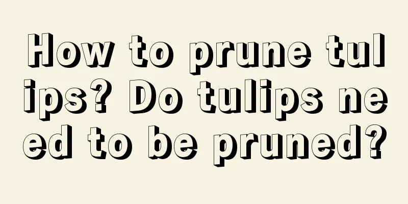 How to prune tulips? Do tulips need to be pruned?