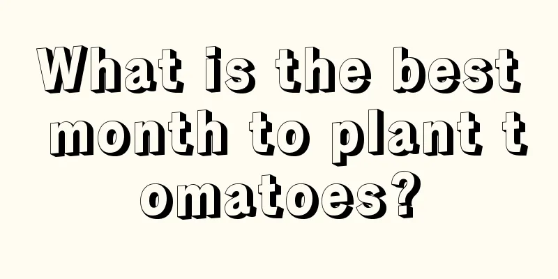 What is the best month to plant tomatoes?