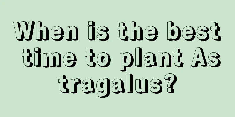 When is the best time to plant Astragalus?