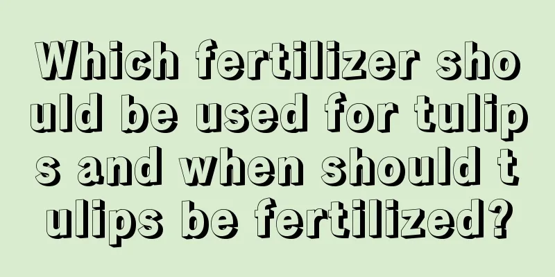 Which fertilizer should be used for tulips and when should tulips be fertilized?