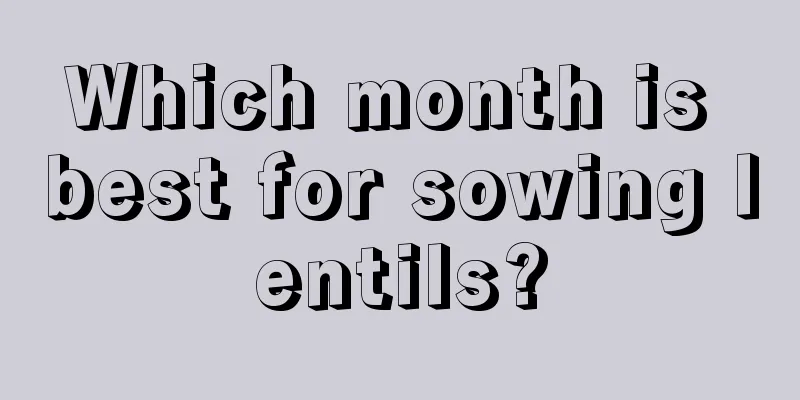 Which month is best for sowing lentils?