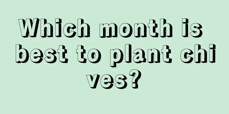 Which month is best to plant chives?