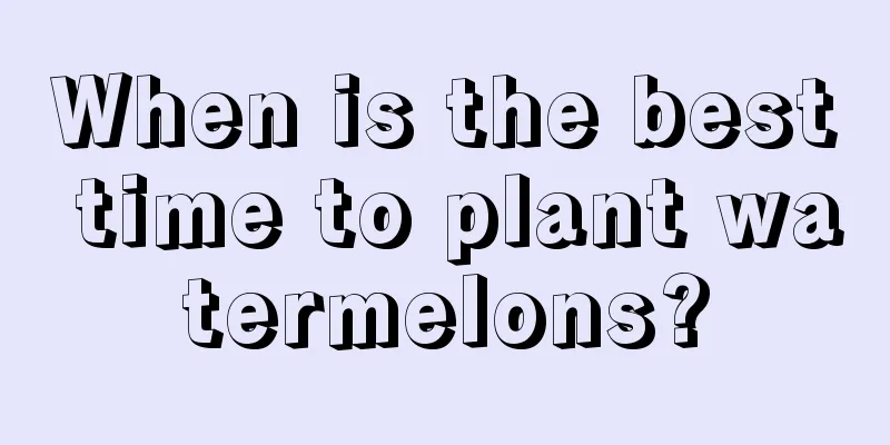 When is the best time to plant watermelons?