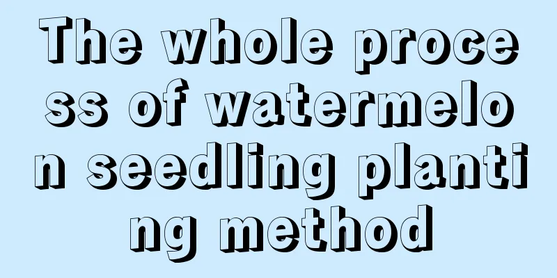 The whole process of watermelon seedling planting method