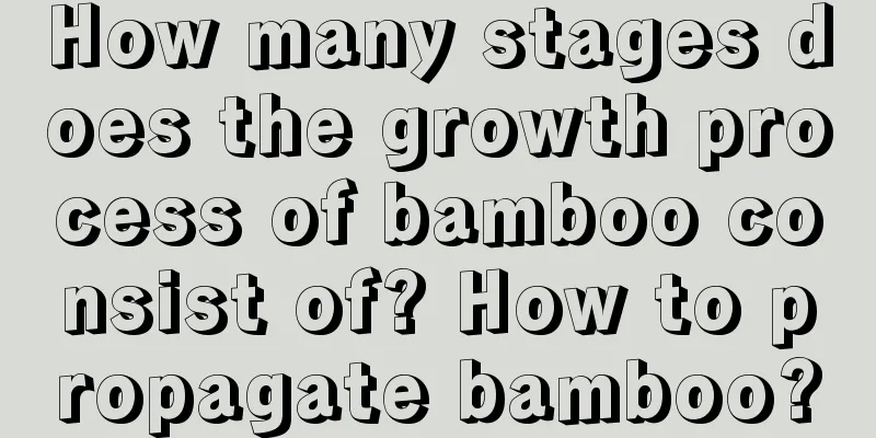 How many stages does the growth process of bamboo consist of? How to propagate bamboo?