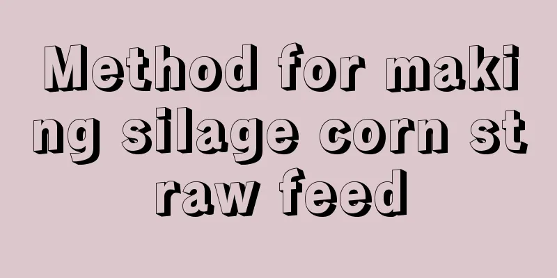 Method for making silage corn straw feed