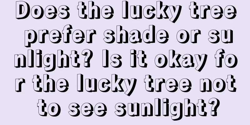 Does the lucky tree prefer shade or sunlight? Is it okay for the lucky tree not to see sunlight?