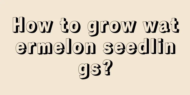 How to grow watermelon seedlings?