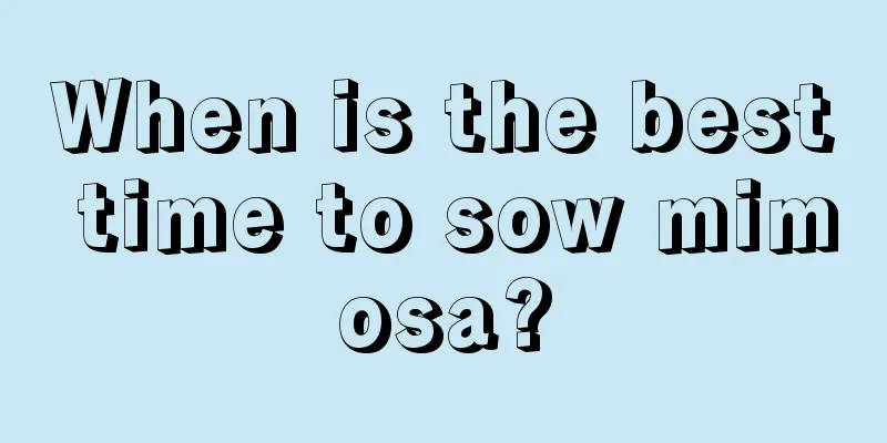 When is the best time to sow mimosa?