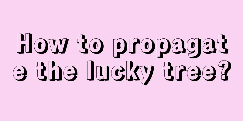 How to propagate the lucky tree?