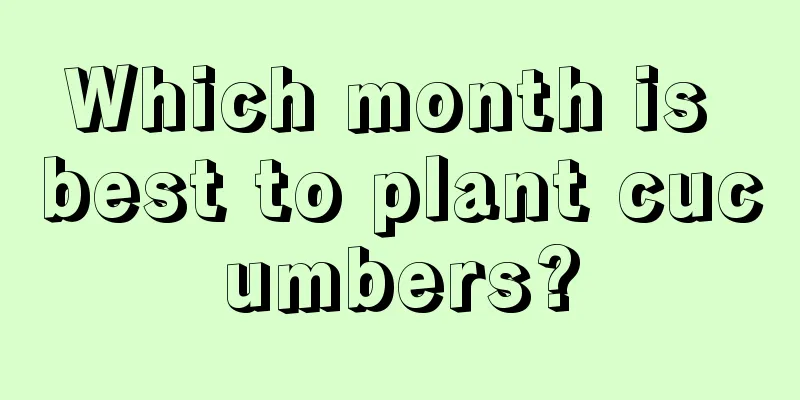 Which month is best to plant cucumbers?