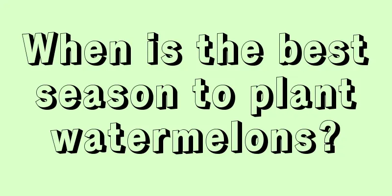 When is the best season to plant watermelons?