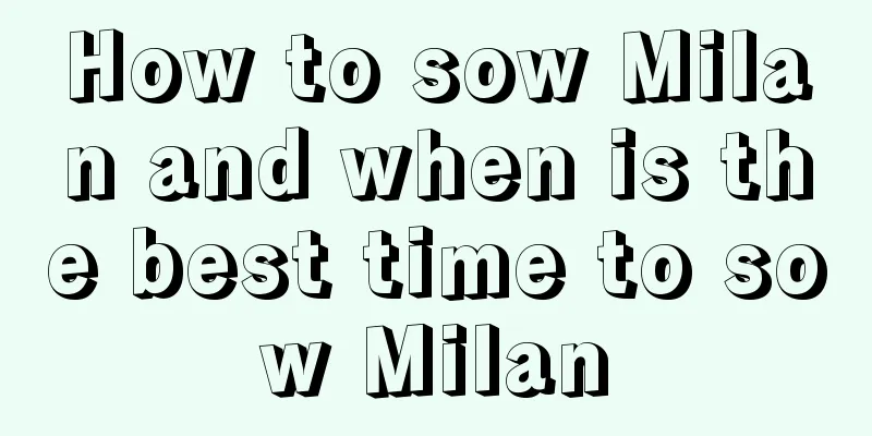 How to sow Milan and when is the best time to sow Milan