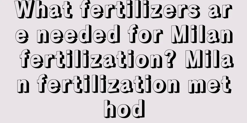 What fertilizers are needed for Milan fertilization? Milan fertilization method