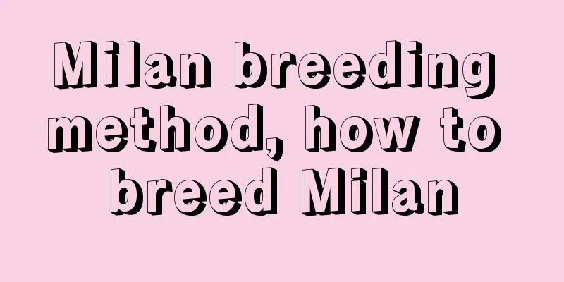 Milan breeding method, how to breed Milan