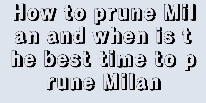 How to prune Milan and when is the best time to prune Milan