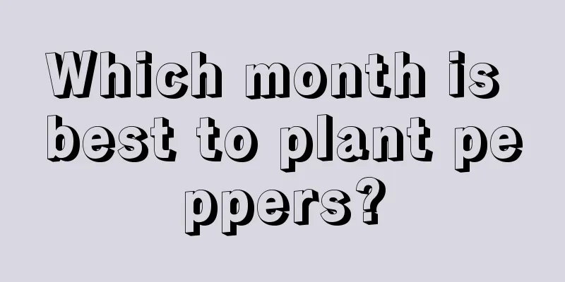 Which month is best to plant peppers?