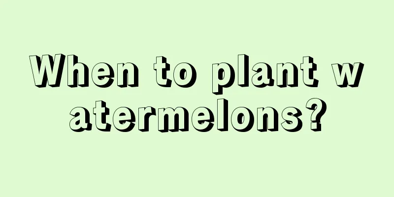 When to plant watermelons?