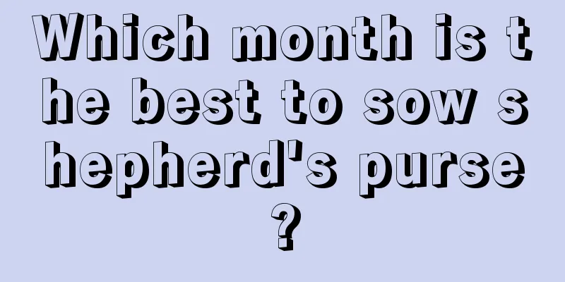 Which month is the best to sow shepherd's purse?