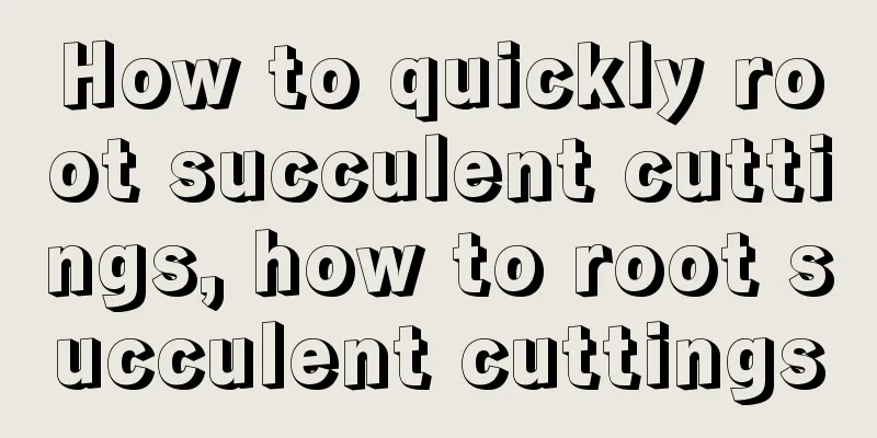 How to quickly root succulent cuttings, how to root succulent cuttings