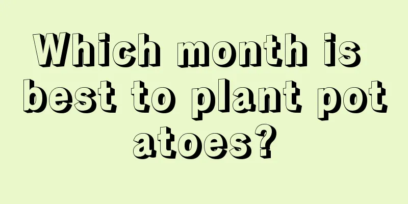 Which month is best to plant potatoes?