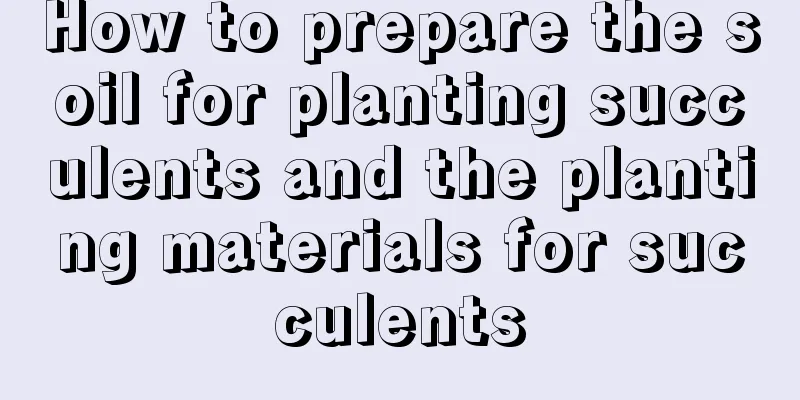 How to prepare the soil for planting succulents and the planting materials for succulents