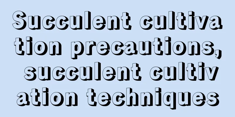 Succulent cultivation precautions, succulent cultivation techniques