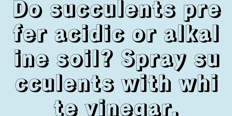 Do succulents prefer acidic or alkaline soil? Spray succulents with white vinegar.