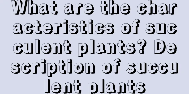 What are the characteristics of succulent plants? Description of succulent plants