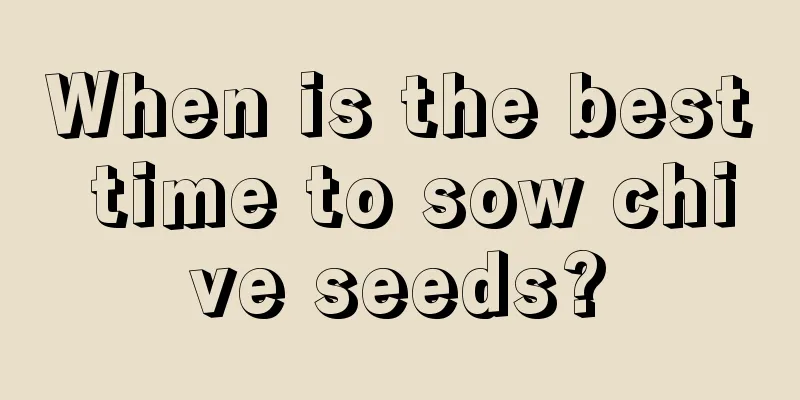 When is the best time to sow chive seeds?