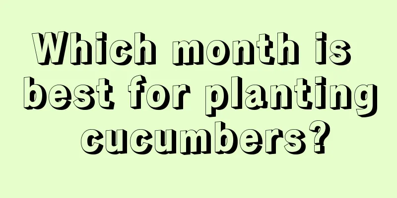 Which month is best for planting cucumbers?