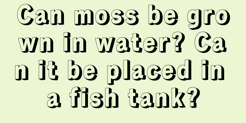 Can moss be grown in water? Can it be placed in a fish tank?