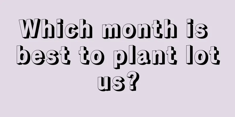 Which month is best to plant lotus?