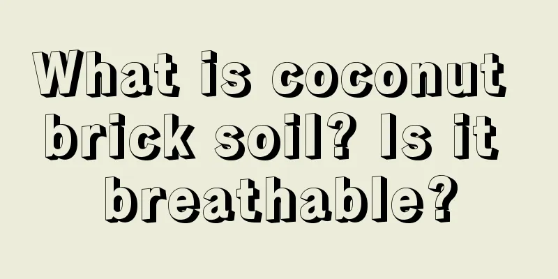 What is coconut brick soil? Is it breathable?