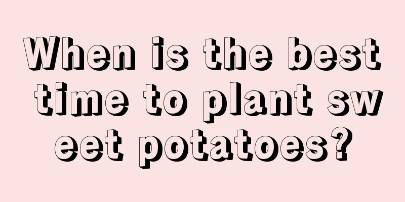 When is the best time to plant sweet potatoes?